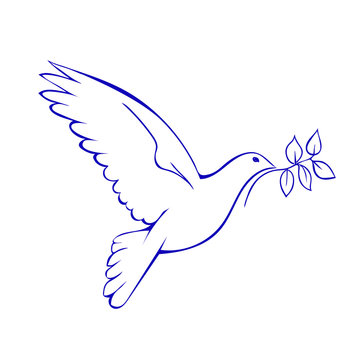 Dove with branch. Symbol of peace.