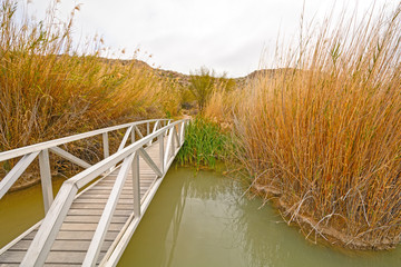 Footbridge across a Wetland Pond