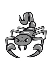 Scorpio horoscope zodiac signs