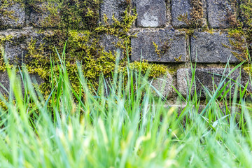 April freshness in Luxembourg