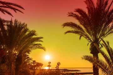 Obraz premium Sunset over tropical bay with palms