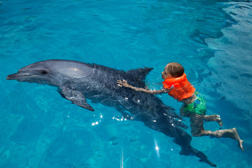 Little Girl and the Dolphin in Swimming Pool