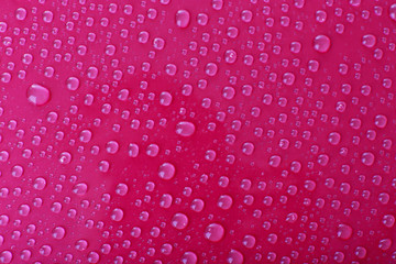 Water drops on glass on pink background