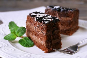 Tasty pieces of chocolate cake with mint