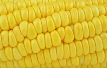 Corn