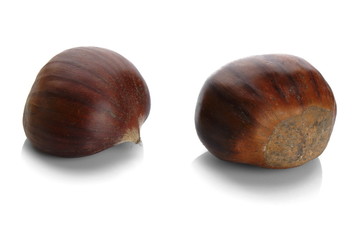 Studio shot of two chestnuts on white background