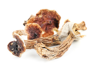 Dried mushrooms isolated on white