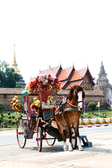 Fototapeta na wymiar Horse carriage