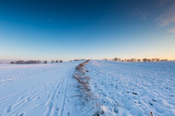 Fototapeta na wymiar Beautiful winter field landscape.