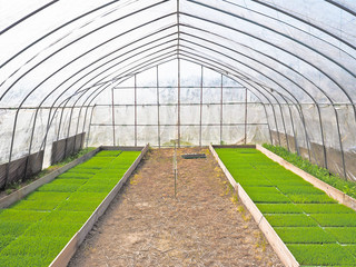 ビニールハウス