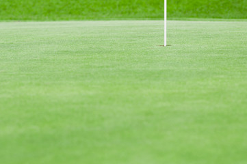 Fototapeta premium Putting green