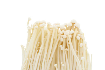 enokitake mushroom isolate on white background