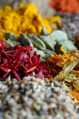 Assorted spices and dry herbs on wooden background