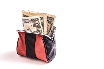 Purse with Dollars