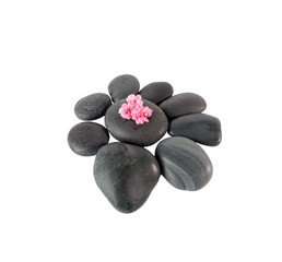 Fototapeta na wymiar Black spa stones in the shape of a flower on white