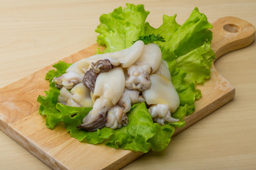 Raw cuttlefish