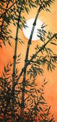 A bamboo grove at sunset