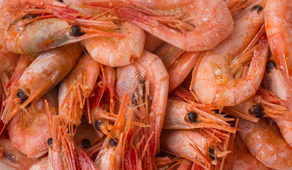 Cooked shrimps on white plate. Shallow depth of field.