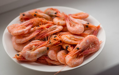 Cooked shrimps on white plate. Shallow depth of field.