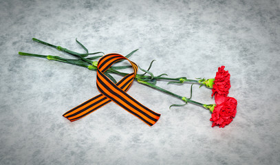Carnation flowers and George Ribbon on a light background