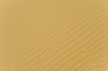 Sand background texture