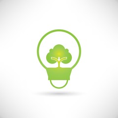 tree, plant on a bulb