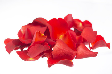 Red rose petals