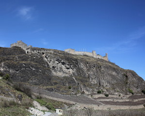 Fototapeta premium Vignoble au pied du château de Tourbillon.
