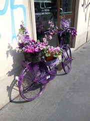 Fototapeta na wymiar La bicicletta