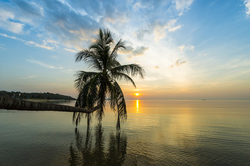 Fototapeta na wymiar Tropical sunset palm tree in Thailand