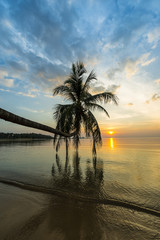 Tropical sunset palm tree in Thailand