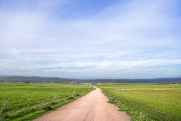 Sardegna, strada rurale tra i campi