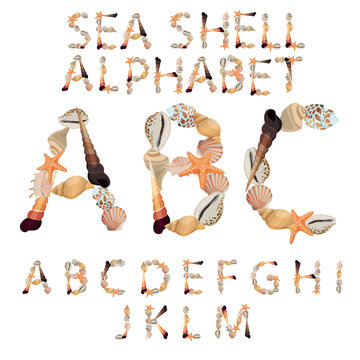 Alphabet made of different sea shells