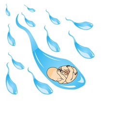 Human Sperm with Baby