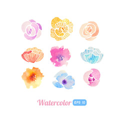Set of watercolor floral elements