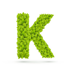 3d green leaves alphabet K