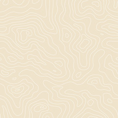 Topographic Map Seamless Pattern. Vector Background