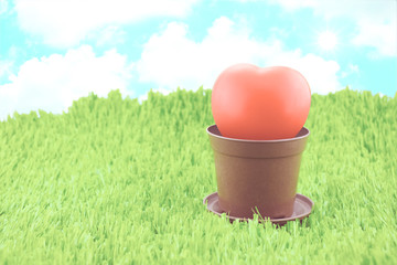 Obraz premium Red heart in brown pot on green grass with sunburst and blue sky