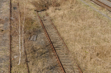 old abandoned railway tracks covered with vegetation