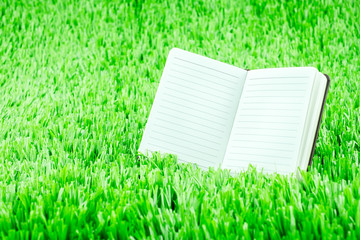 Open notebook on green grass, Business and Education concept tem