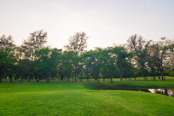 Green field city park, Beautiful lawn