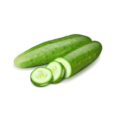 Cucumber and slice isolated on white vector