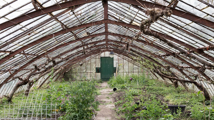 Old abandoned glasshouse
