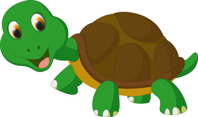 cute turtle cartoon