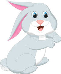 cute rabbit cartoon