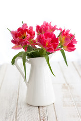 pink peony tulip