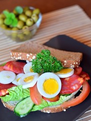 Fresh and healthy sandwich with salami and vegetables on a plate