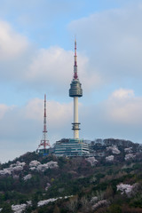 Naklejka premium Seoul tower in spring time