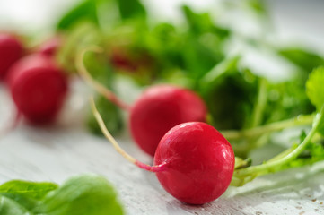Young fresh radishes on white board