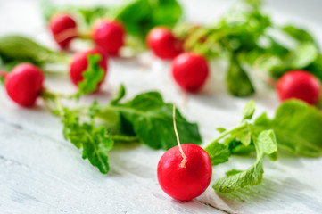 Young fresh radishes on white board